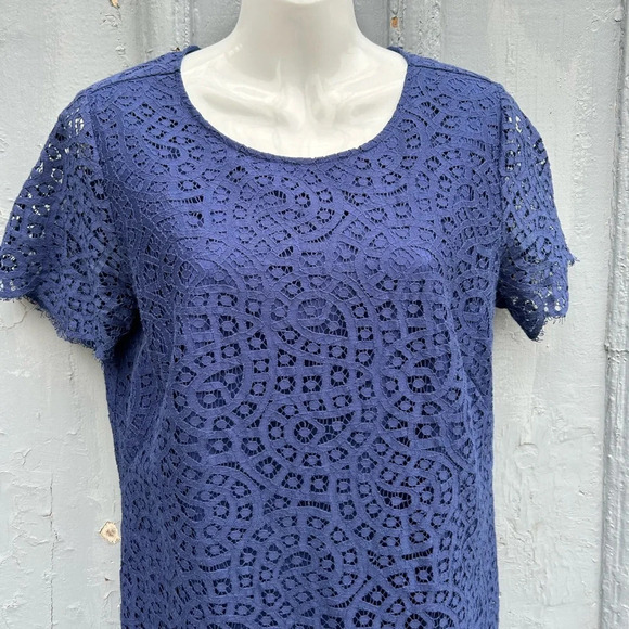 Ann Taylor Lace Shift Dress, Navy, size 10 - Picture 8 of 11